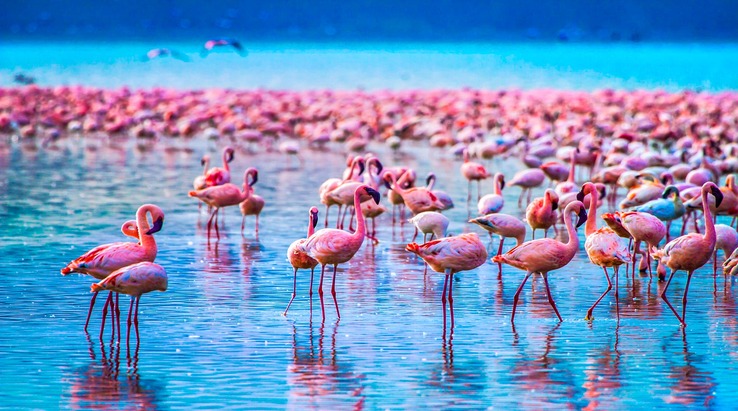 Lake Manyara National Park