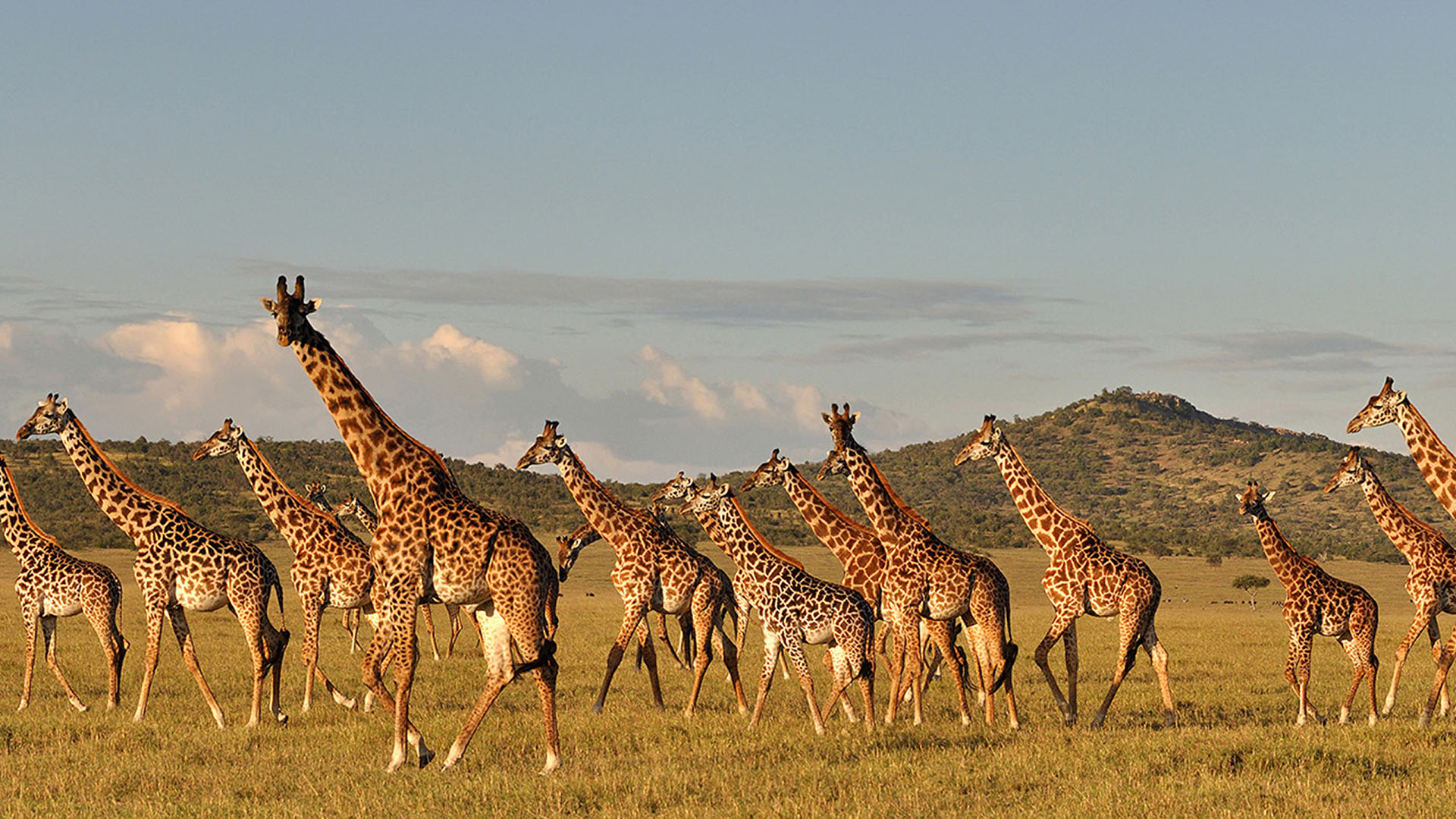 4 Day Camping Safari -Tarangire National Park, Lake Manyara National Park and the Ngorongoro Crater