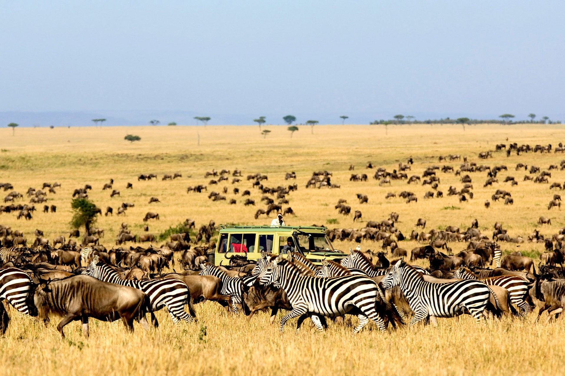 5 Day Lodge Safari -Tarangire National Park, Serengeti National Park and Ngorongoro Crater.
