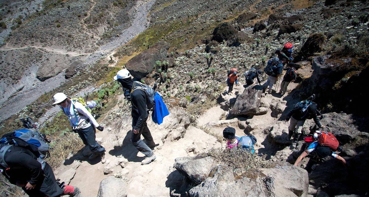 10 Days Climbing Kilimanjaro Using Umbwe Route.