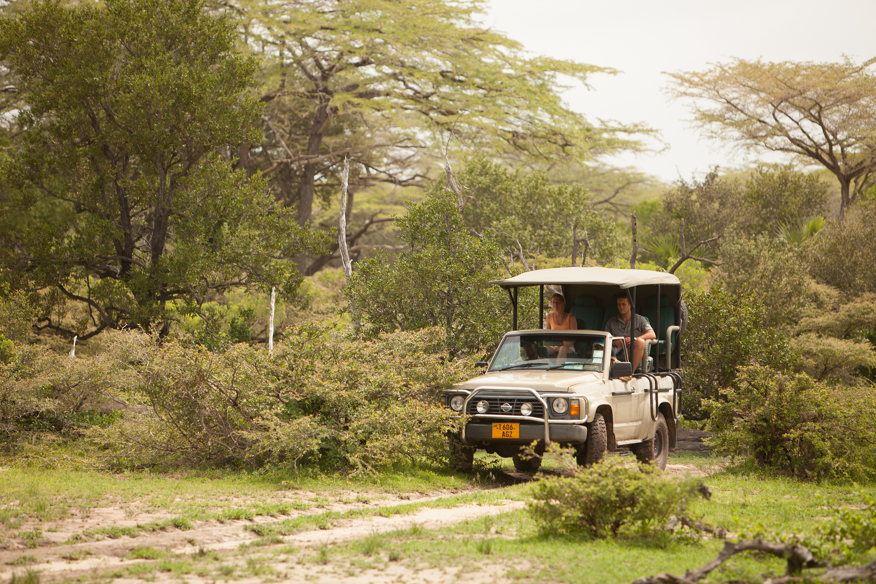 2 Days Mikumi Safari from Zanzibar USD 645 Pp