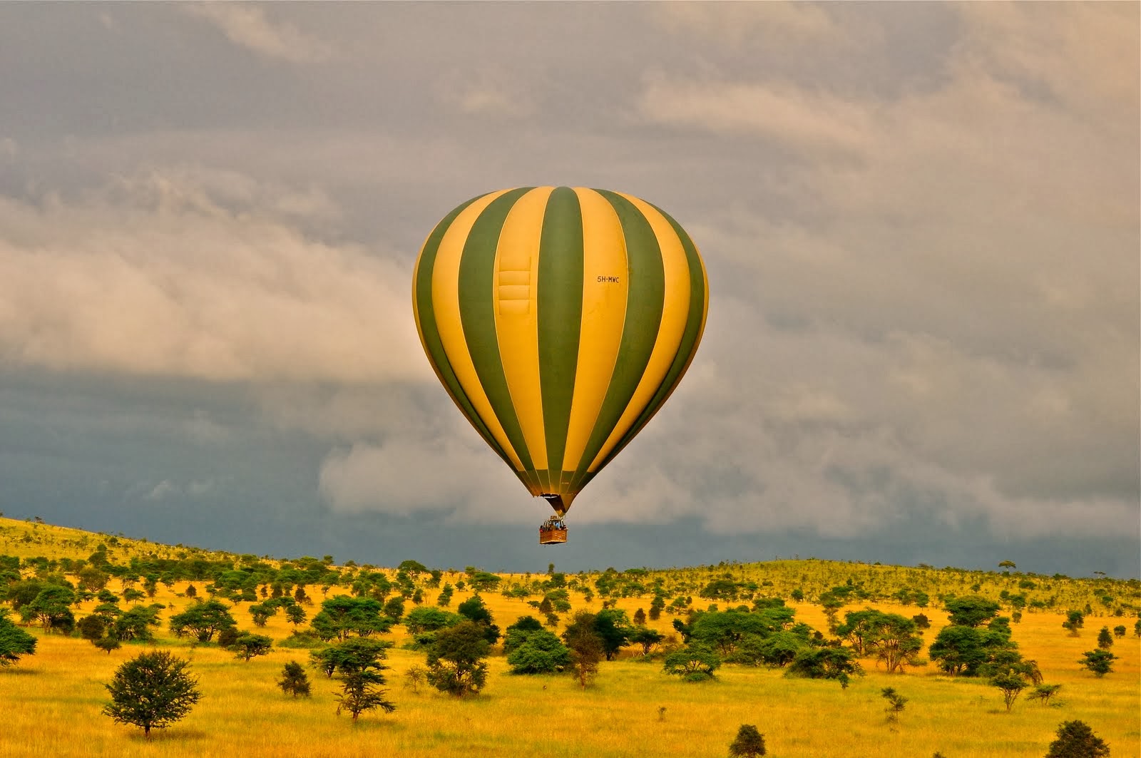 Balloon Safari