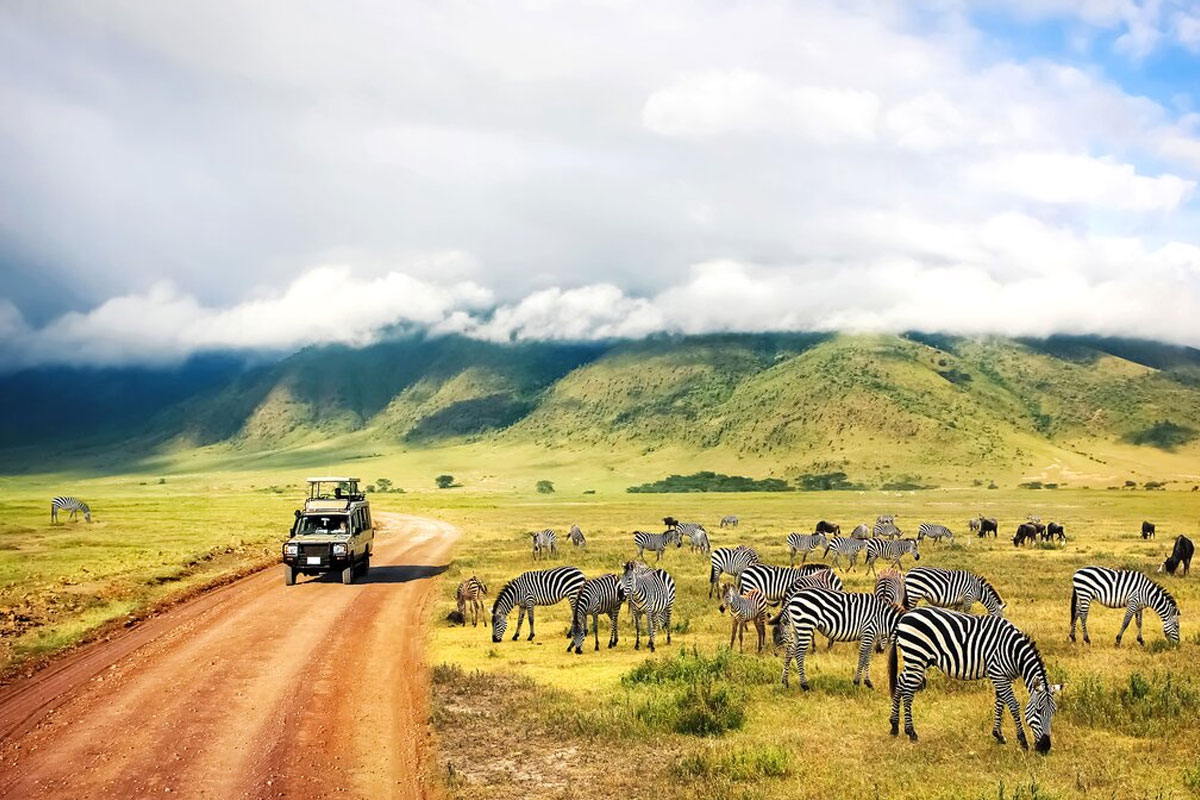 When is the best time to go on a Tanzania safari?